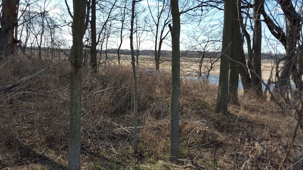 woods_&_water