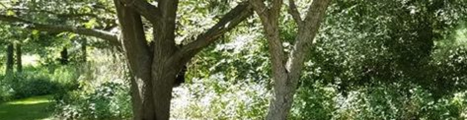 3 Unsolved Murders