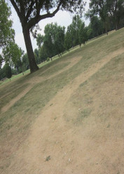 Sinnissippi Golf Course