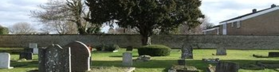 The Mysterious Death Of Henry J. Lacks