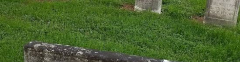 Twelve Mile Grove Cemetery